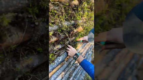 Sealing the walls of the bugout shelter #prepper #bugout #bugoutshelter