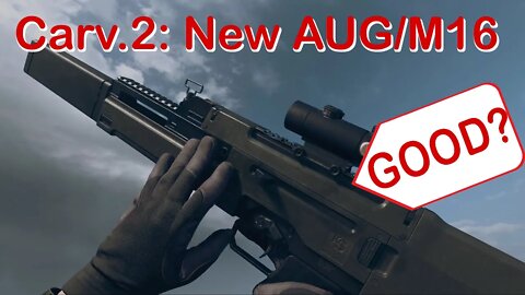 Carv.2: New AUG/M16 | Call of Duty: Cold War/Warzone #shorts