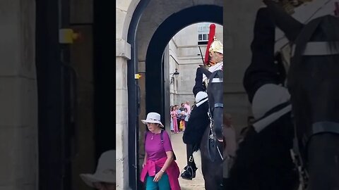 stupid tourist Walks through the box #horseguardsparade