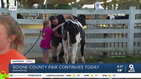 Boone County Fair to include livestock sales, pig scrambles and more