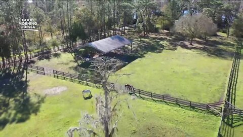 Veterans, kids get specialized therapy at Quantum Leap Farm