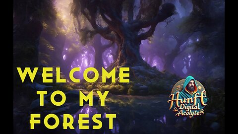 Welcome to my forest - Summer (part I.)