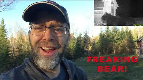 I GOT HIM ON CAMERA!! "Rescind those prayers!" LOL. Black Bear Raiding chicken feed