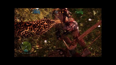 4K PC gameplay Far Cry Primal