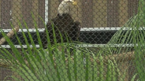 Conservancy opens expanded animal hospital