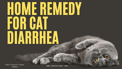 Effective Home Remedies for Treating Cat Diarrhea #pets_birds #cat_diarrhea