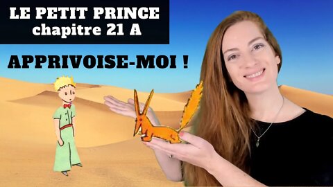 Le Petit Prince Chapitre 21 partie 1 - Explanations - Explications - Antoine de Saint-Exupéry