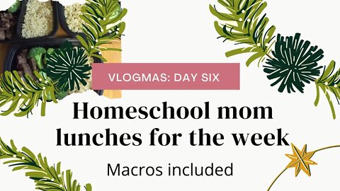 Homeschool mom - lunch for the week with macros