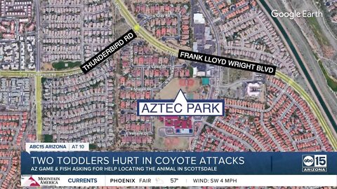 AZ Game and Fish searching for coyote that attacked two toddlers in Scottsdale