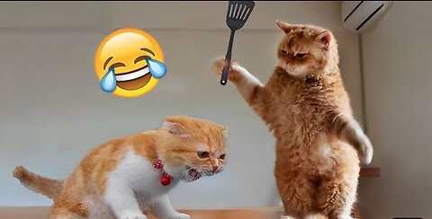 Cute Animals 😍 || Pets Playing 😍 ||Must Watch