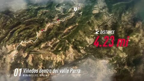 DiRT Rally 2 - Dangerous Dash Through Valle Parra