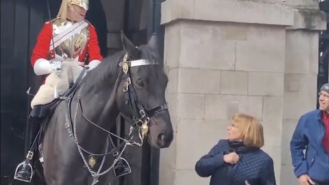 The same guard scares 😱 two tourist #horseguardsparade