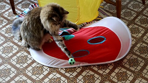 Leia Playing with a Foam Ball