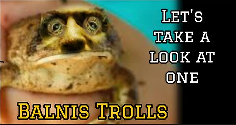 Troll Spots: Amphibian.