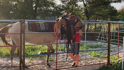 Growing up Cowboy