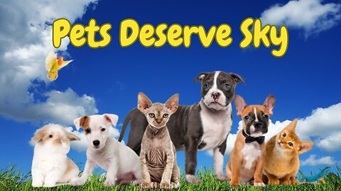 PETS DESERVE SKY