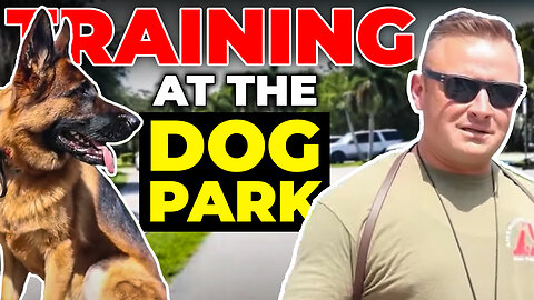 REACTIVE German Shepherd visits DOG PARK!