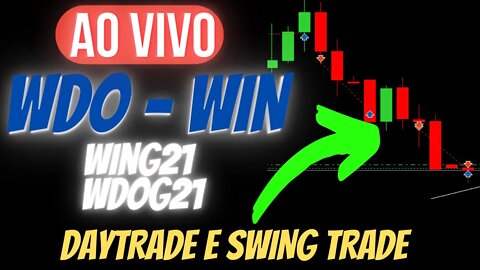 DAYTRADE AO VIVO 🔴 MINI INDICE E MINI DOLAR