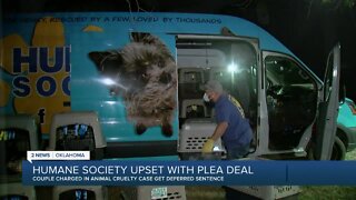 Humane Society Upset With Plea Deal