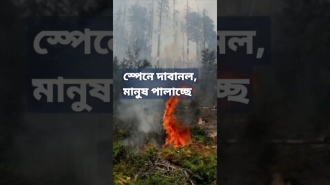 স্পেনে ভয়ানক দাবানক ঃদাবানল ধেয়ে আসছে বলে স্পেনের বিভিন্ন শহর থেকে মানুষ পালাচ্ছে। হাজার মাইলে