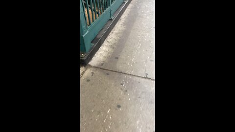 NYC Man “Not Shooting Up”