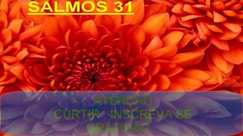 SALMOS 31