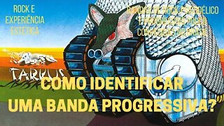 COMO IDENTIFICAR UMA BANDA PROGRESSIVA?