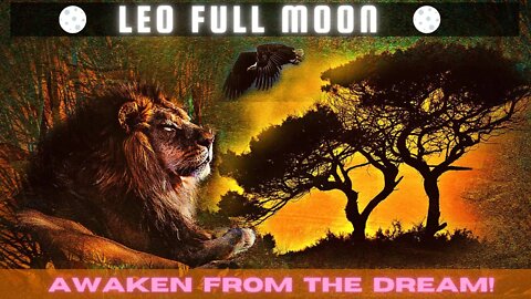 Leo Full Moon 🦁 Galactic Butterfly 🦋 AWAKEN FROM THE DREAM! Royal Divine Feminine Lioness of Lyra