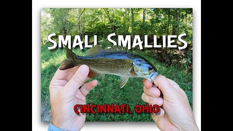 Fishing a state park near Cincinnati, Ohio (SMALLMOUTH!)