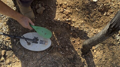 Wedderburn Goldfields And The Hunt For Gold