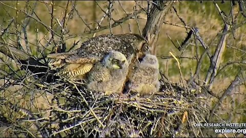 Rodger's Place-Breakfast Is Served 🦉 4/28/22 07:38