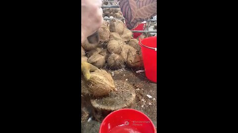 Coconut chips making