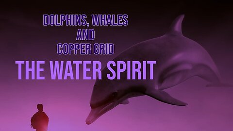 Copper Grid / Water Spirit, whales and dolphins