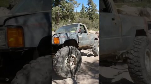 Yota Crawler - John Bull Gatekeeper, Big Bear