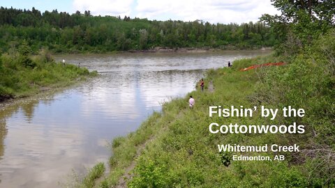 Fishin' by the Cottonwoods