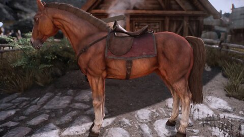 Skyrim SC HorseReplacer "TW3" LE/SE