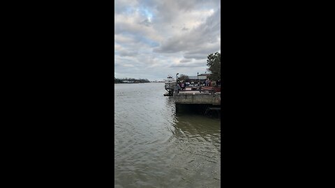 Tug Boat Back Up/Savannah