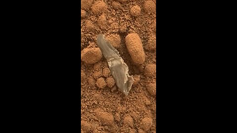 NASA rover finds plastic on MARS!