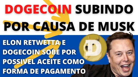 #dogecoin sobe 10% após citações de #ElonMusk - 156