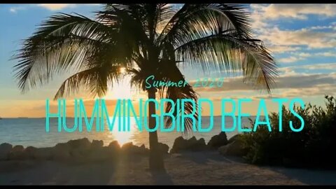 Tropical Bass 2020 🍓 CHILL MUSIC🌴 Upbeat by Infraction (No Copyright Music)