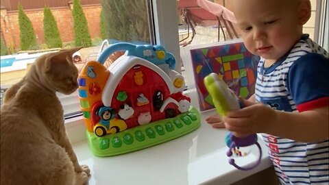 A Cute Baby Playing with His Toys and Cat