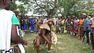 SOUTH AFRICA - Durban - Umthayi Marula Festival (Video) (9hs)