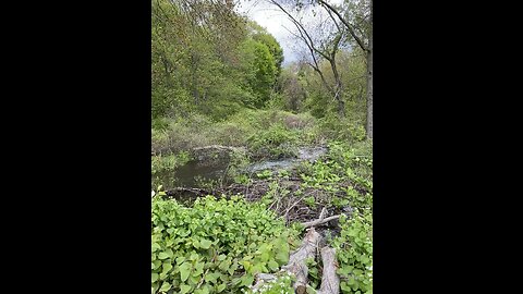 Hiking Vibes and I discovered a small River 🥾🏞️