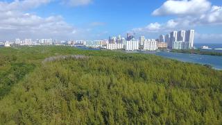 Oleta River State Park