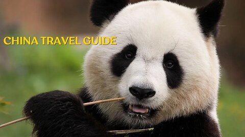 China Travel Guide