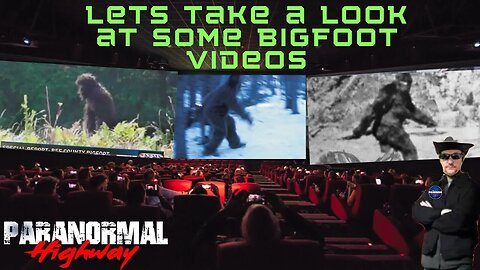 Lets take a Look at Some Bigfoot Videos