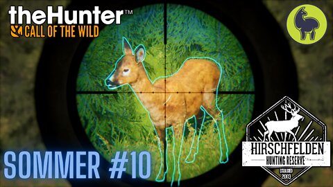 Sommer #10 Hirschfelden | theHunter: Call of the Wild (PS5 4K)