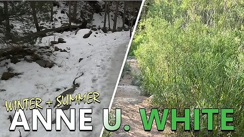 Anne U. White Trail [Summer/Winter Hike] - Boulder County