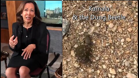 Kamala Harris and The African Dung Beetle