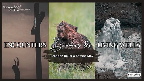 Encounters, Beavers & Living Wells